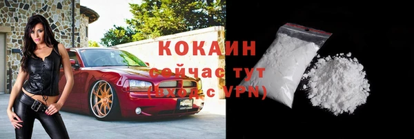 индика Красноперекопск