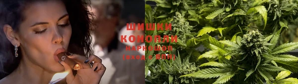 стафф Краснослободск