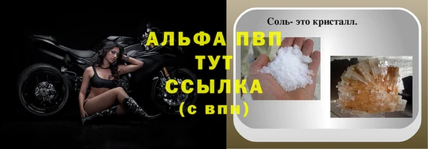 МДПВ Абаза