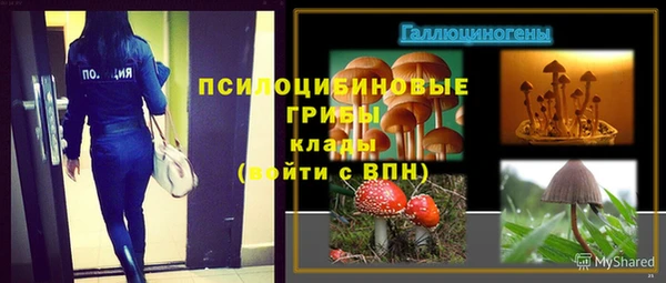 стафф Краснослободск
