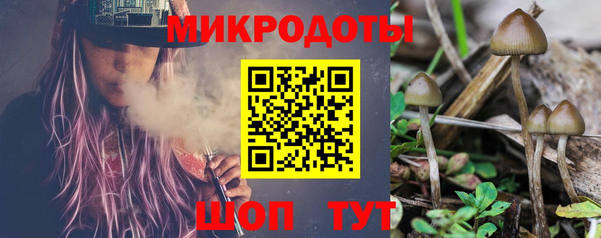 Галлюциногенные грибы Cubensis Оренбург